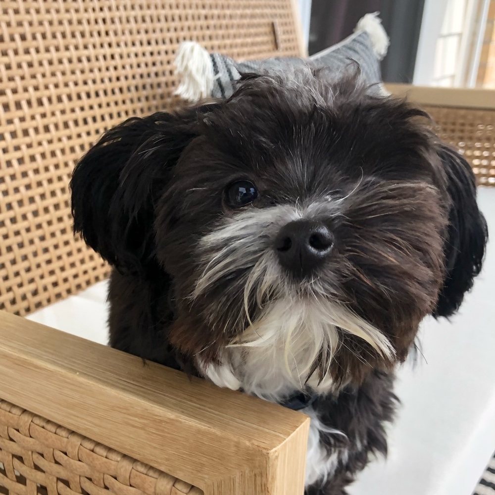 Meet your Posher, Mallery